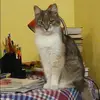 Отзыв от Алена Калинина